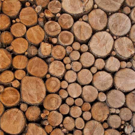 Kiln Dried Hardwood Logs For Sale Staffordshire | FREE Local Delivery